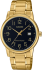 ЧАСЫ Casio TIMELESS COLLECTION MTP-V002G-1BUDF
