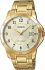 ЧАСЫ Casio TIMELESS COLLECTION MTP-V004G-9BUDF