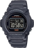 Часы Casio TIMELESS COLLECTION W-219H-8B