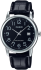 ЧАСЫ Casio TIMELESS COLLECTION MTP-V002L-1BUDF
